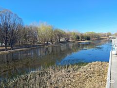 -大兴滨河森林公园