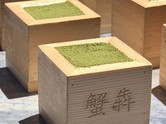 -上海尚嘉中心