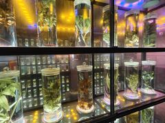 -广东中医药博物馆