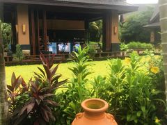 -亚马逊丛林水乐园