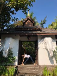 点击看大图 -酉嘉瑜伽YO+YOGA