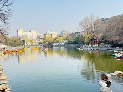 -莲湖公园