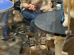 -PETKIT小佩宠物(古北店)