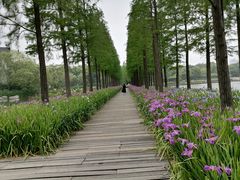 -圩墩遗址公园
