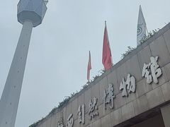 -陕西自然博物馆