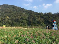 -广州市石门国家森林公园