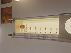 -正佳自然科学博物馆