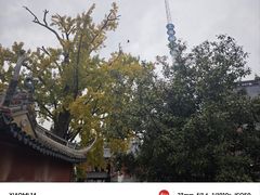-上海财神庙