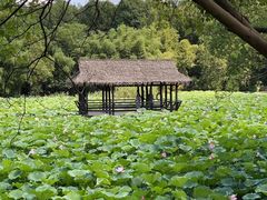 -兰亭风景区