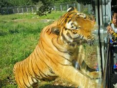 -西安秦岭野生动物园