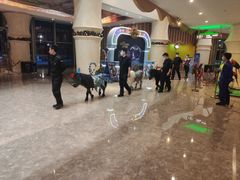 -珠海横琴长隆《卡卡虎奇遇记》