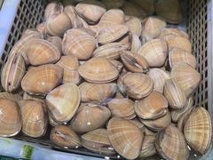 -泰白海鲜烧烤大全