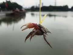 -黄埔古港