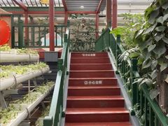 -春满园生态餐厅(南宫路店)