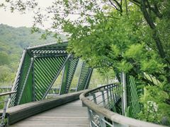 -西湖风景区-江洋畈生态公园