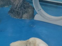 -苏州海洋馆