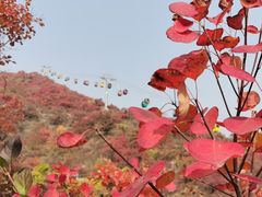 -周口店坡峰岭风景区