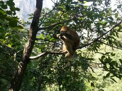 android_upload_pic-云台山风景名胜区