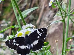 -东天目山风景区