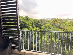 -东莞松山湖凯悦酒店