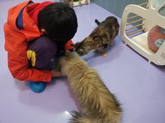 -1013 PET SHOP 宠物商店(近铁城市广场店)