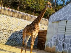 -泉州海丝野生动物世界