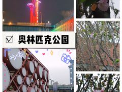 -北京奥林匹克公园