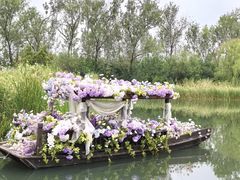 -溱湖国家湿地公园