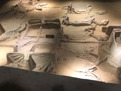 -洛阳周王城天子驾六博物馆