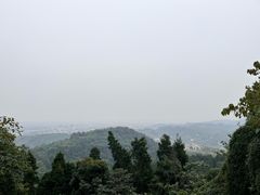-老君山