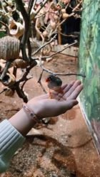 -Zoolung Zoolung动物主题公园(海信广场店)