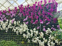 -石家庄市植物园