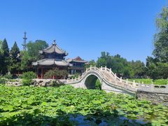-莲池书院博物馆