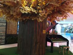 -海底捞火锅(石厦时代广场店)