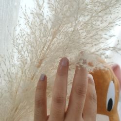 -Beauty Nails 美甲美睫皮肤管理