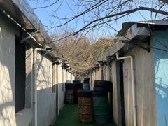 -东湖小天池真人CS彩弹野战基地