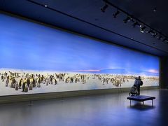 -罗红摄影艺术馆