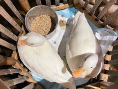 -馬蘭花開(车站大道店)