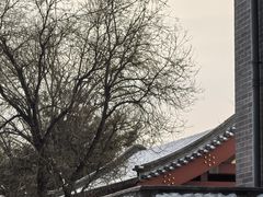 -伊隆斋(什刹海店)