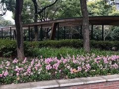 -老上海弄堂菜馆(恒基名人购物中心店)