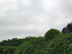 -汉景帝阳陵博物院