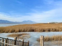 -盐湖景区