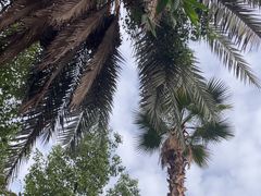 -马洛雷勒花园