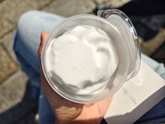 -洪馨椰子
