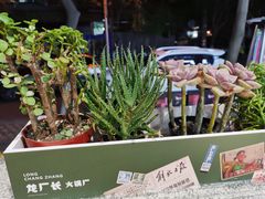 -龙厂长老火锅(抚琴店)