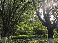 -范蠡湖公园