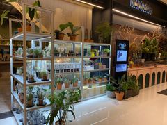 -PlantsEatery·植物食堂(REX春熙店)