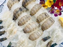 瀨尿蝦刺身-嘉升大排档(番禺总店)