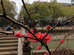 -南通濠河风景名胜区