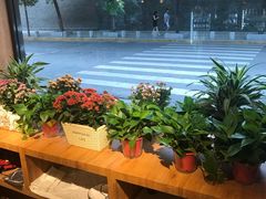 -蝦塘·中国餐馆(城墙南马道巷店)